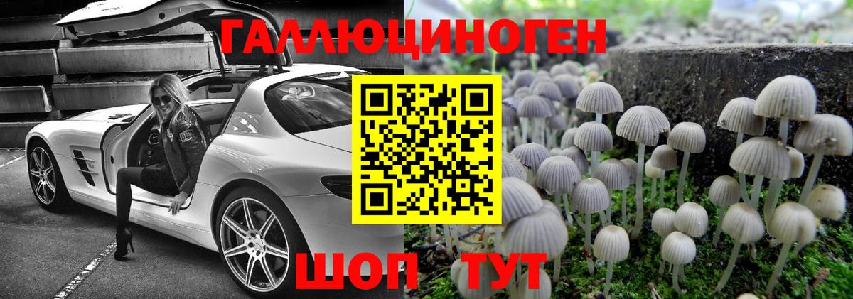 Псилоцибиновые грибы прущие грибы  Вход с VPN  где купить наркоту  Химки  Галлюциногенные грибы прущие грибы 